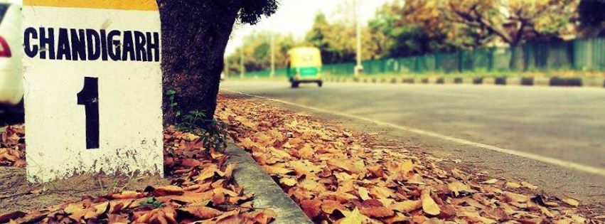 packers and movers in Chandigarh Haryana 